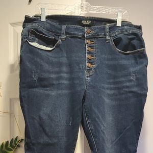 20w judy blue button fly